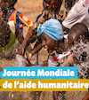 Rapport annuel 2024 : servir, sans condition, la solidarité, ici et ailleurs